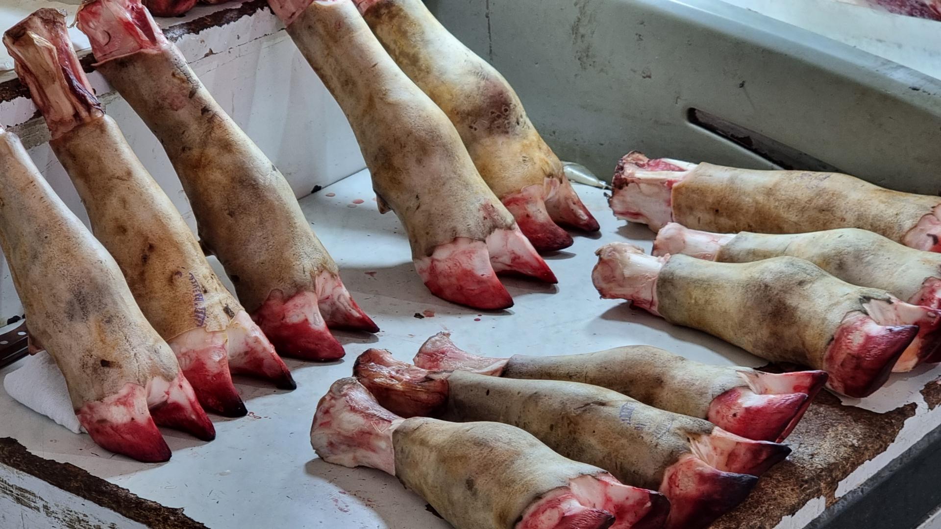 pieds de mouton au marché