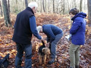 Bonnelles nov15 2