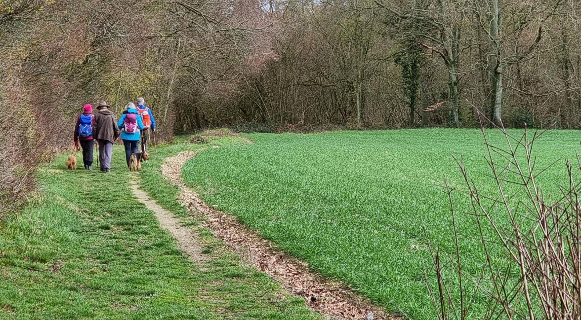 Randonnées dans le pays de Bray