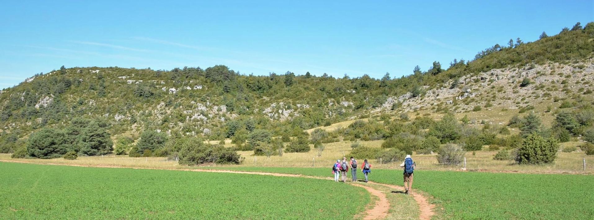 Randonnées dans le Larzac