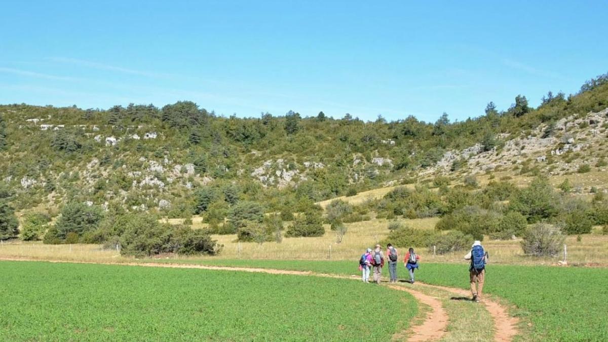 Randonnées dans le Larzac