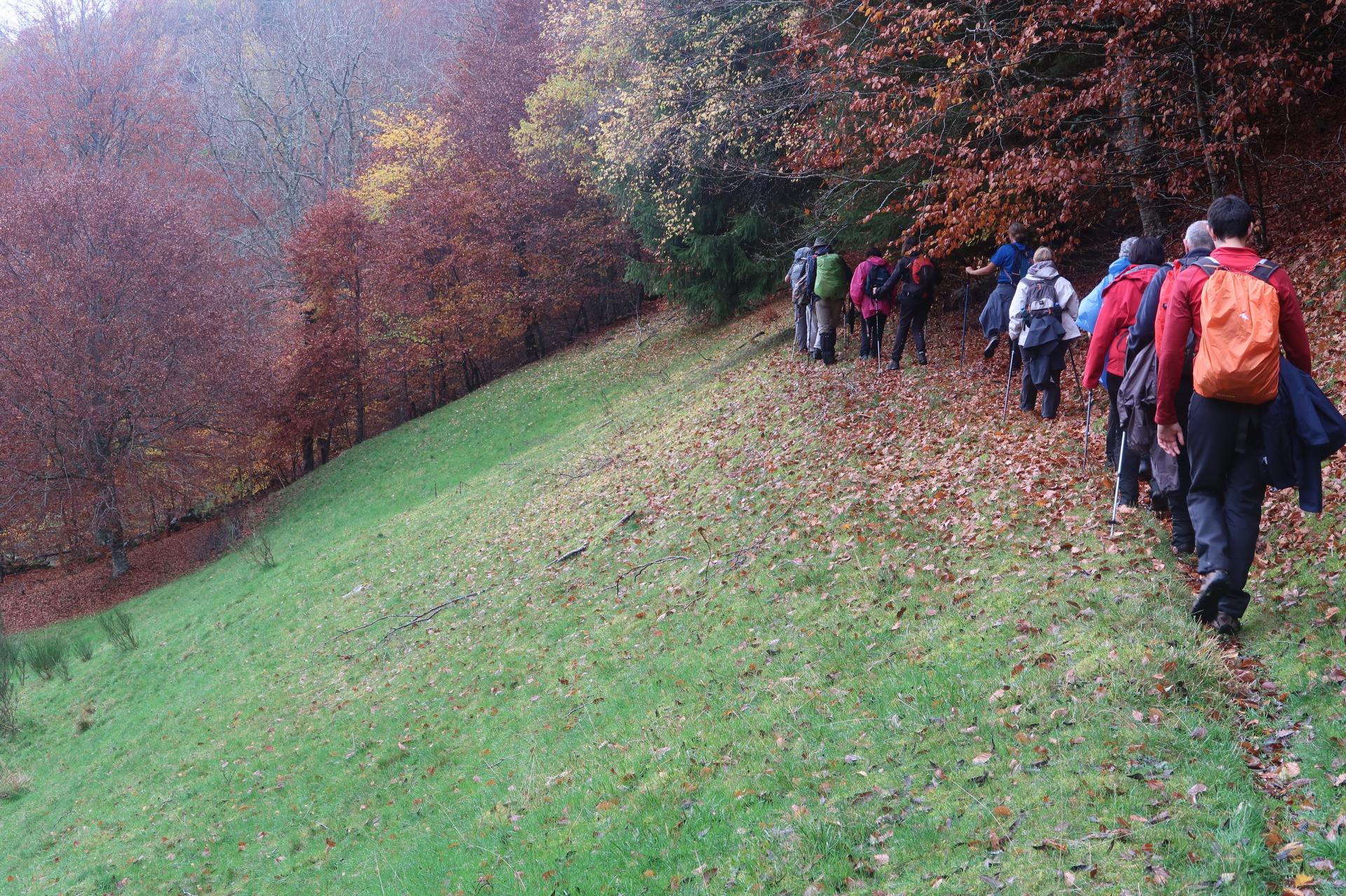 Lozère