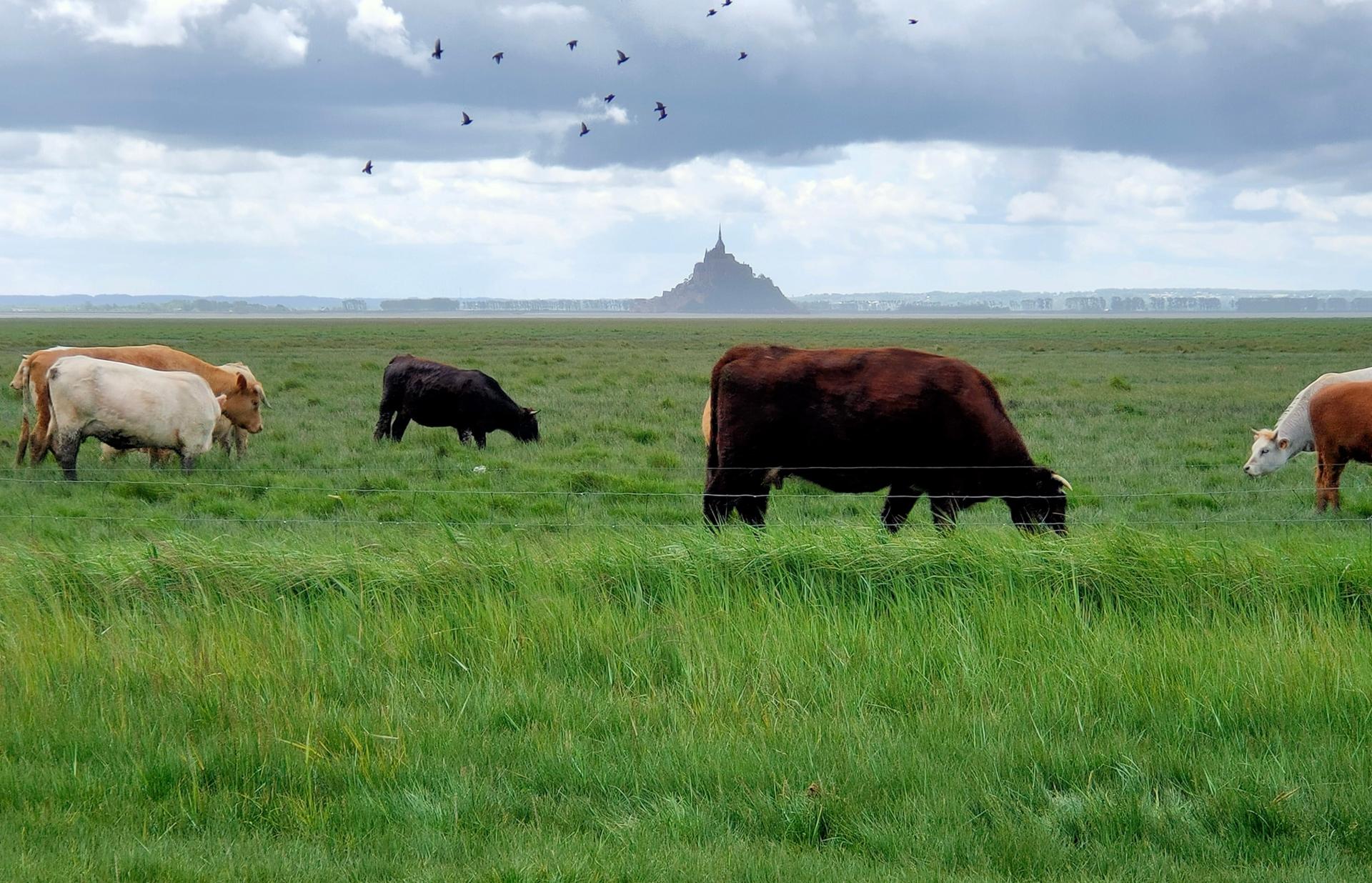 Mont saint Michel