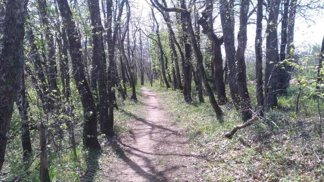 via podiensis