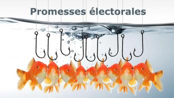 Promesses electorales tvl