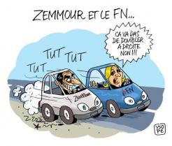 Zemmour et le fn ysope